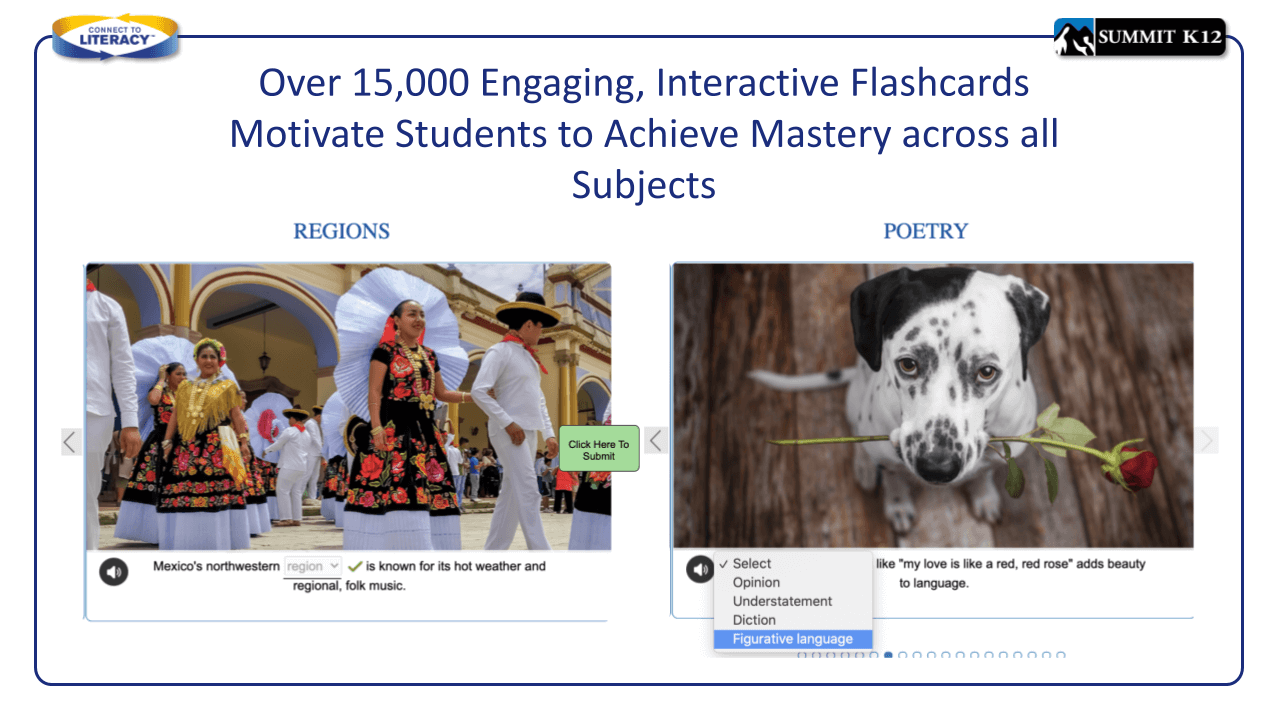 Interactive vocabulary flashcards