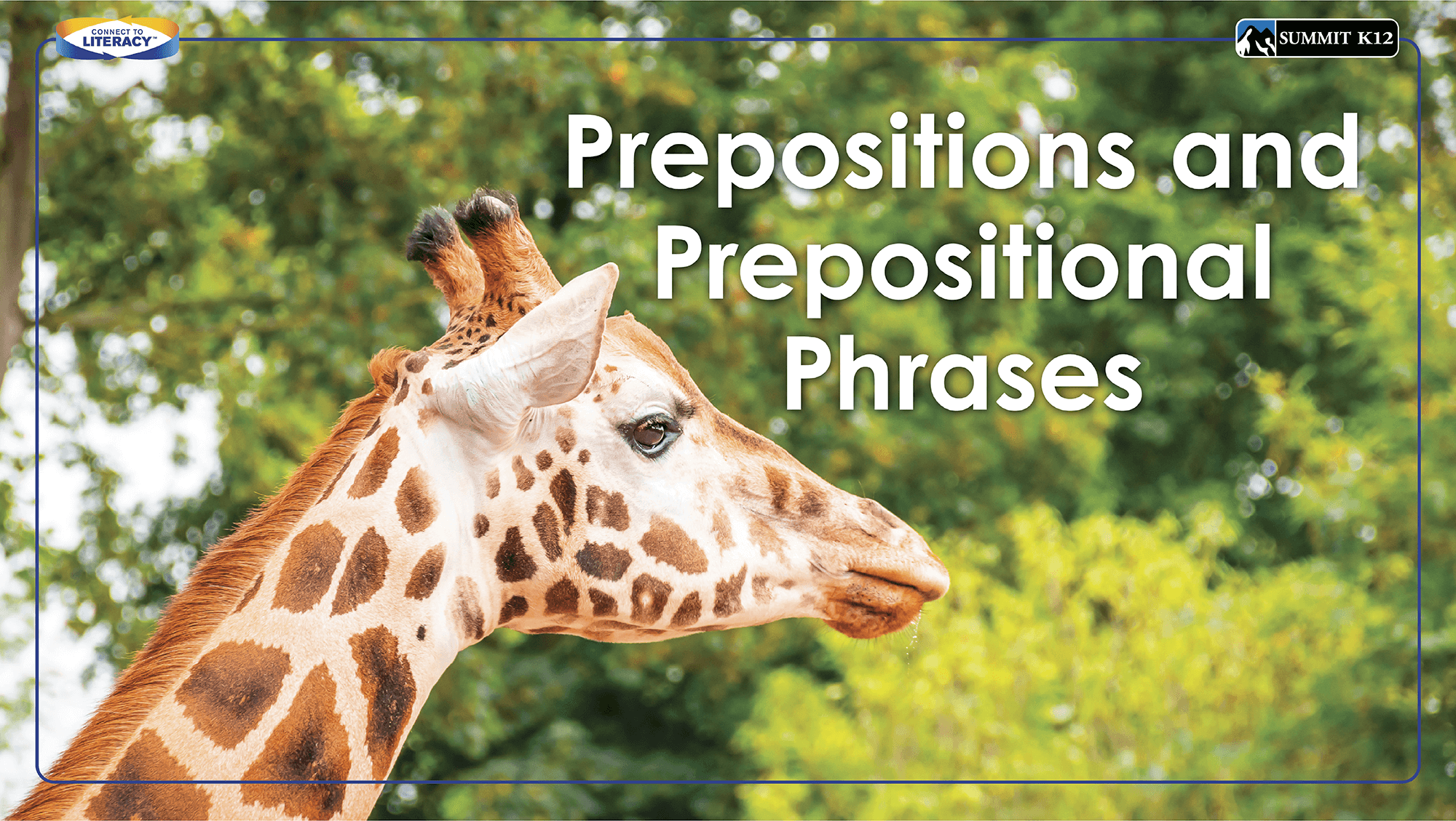 Prepositions and Prepositional Phrases