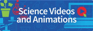 videos and animations