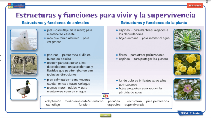 dual-Language-1-1 copy